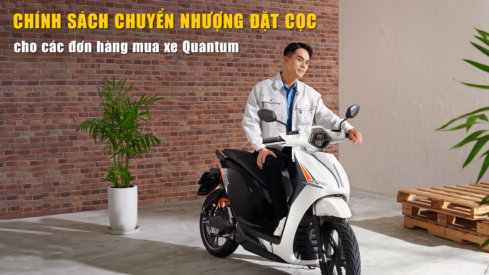 Chính sách chuyển nhượng đặt cọc cho các đơn hàng mua xe Quantum