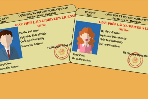 Bằng lái xe màu gì? Quy định mới nhất về màu sắc các loại bằng lái