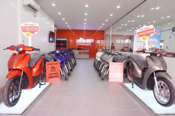 Tuổi Dần hợp màu gì? Cách chọn màu xe máy điện Dat Bike hợp phong thủy 2026