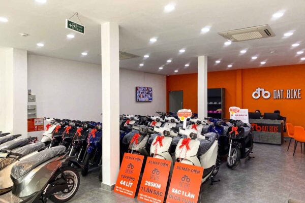 Tuổi Tý hợp màu gì? Nên mua xe màu nào hút tài lộc và may mắn?