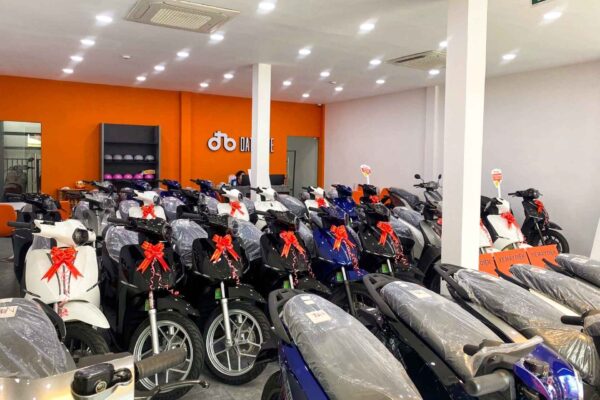 Tuổi Tỵ hợp màu gì? Bí quyết chọn màu xe may mắn, tài lộc cho người tuổi Tỵ