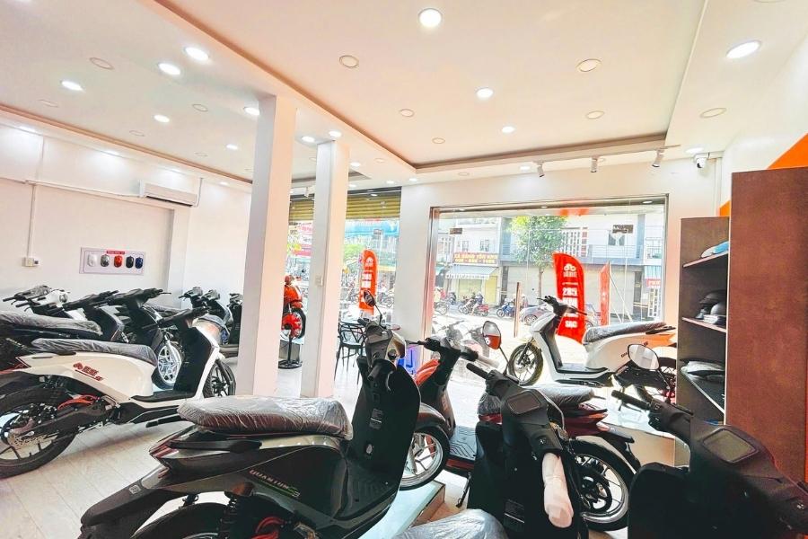 Dán decal giúp tuổi Mão linh hoạt đổi màu xe Dat Bike chuẩn phong thủy